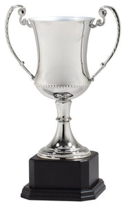 DC4 메탈트로피